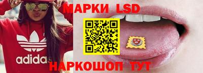 гидропоника Пенза